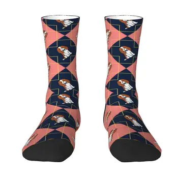  Komik Baskı Kafes Cavalier King Charles Spaniel Çorap Erkekler Kadınlar için Sıkı Yaz Sonbahar Kış Pet Köpek Severler Ekip Çorap
