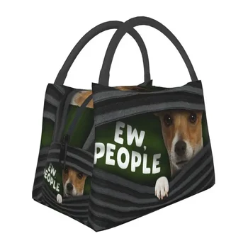  Komik Jack Russell Köpek Yalıtımlı Öğle Çanta Kadınlar için Taşınabilir Soğutucu Termal Bento Kutusu İş Seyahat
